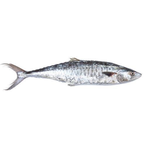 Fish Names In Malayalam And English à´®à´²à´¯ à´³à´¤ à´¤ à´² à´‡ à´— à´² à´· à´²