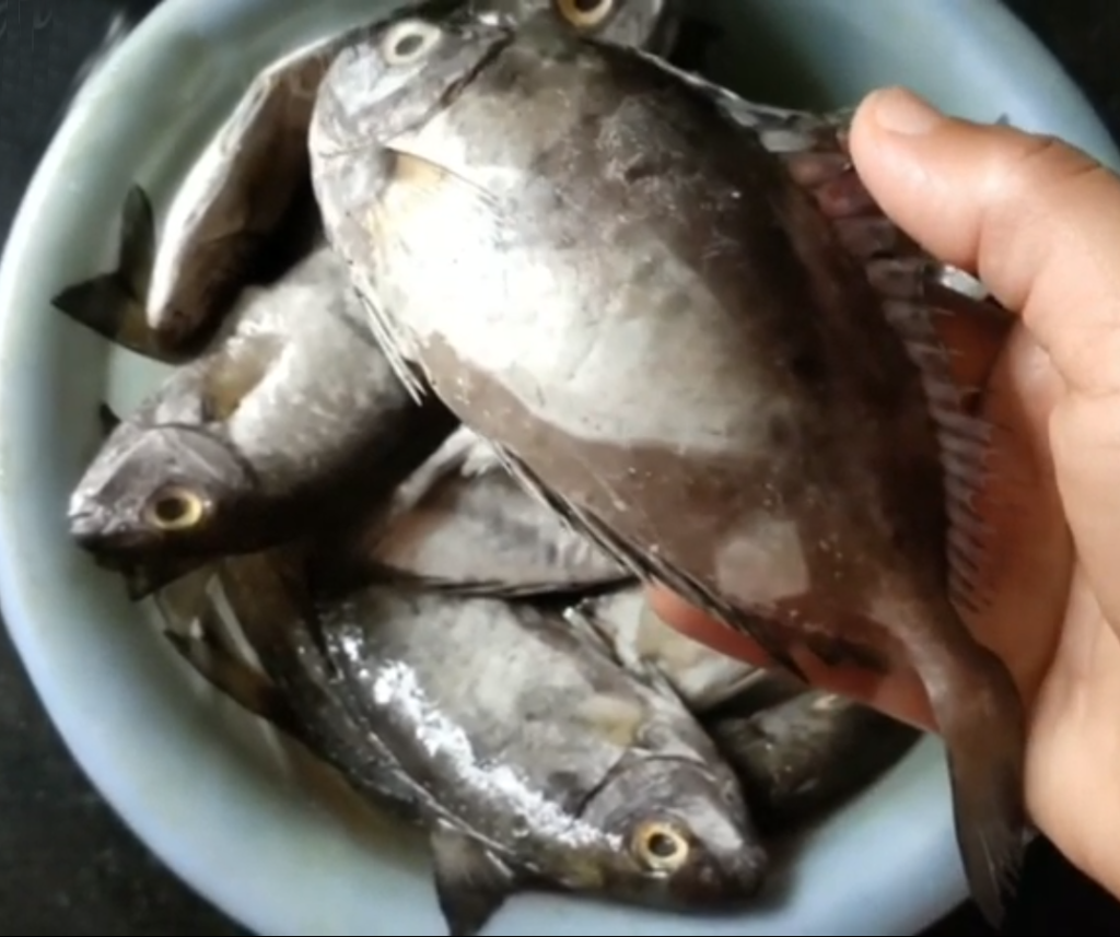 Safi fish in Malayalam