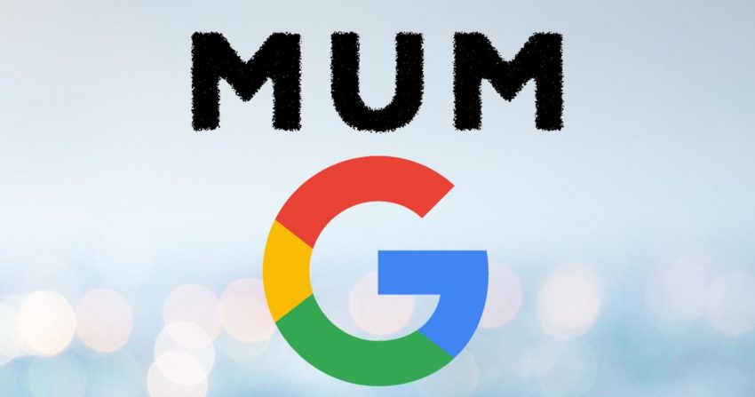 Google Multitask Unified Model