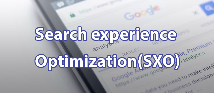 Search experience Optimization