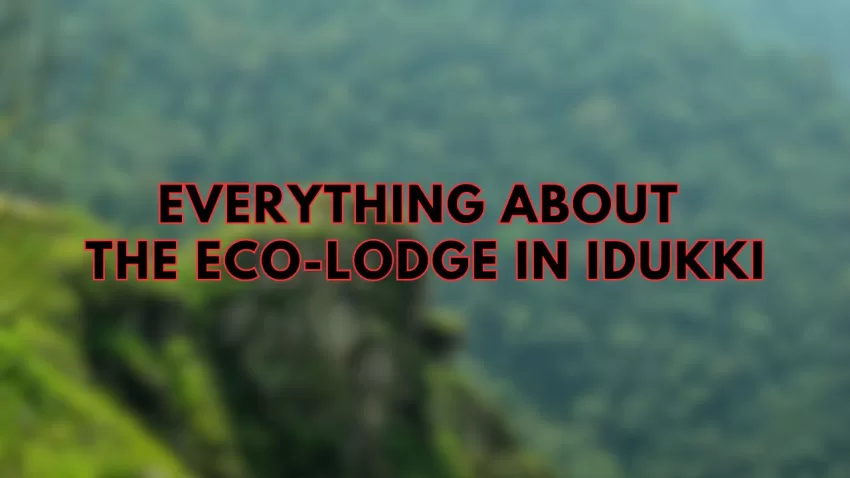 Everything About the Eco-Lodge In Idukki