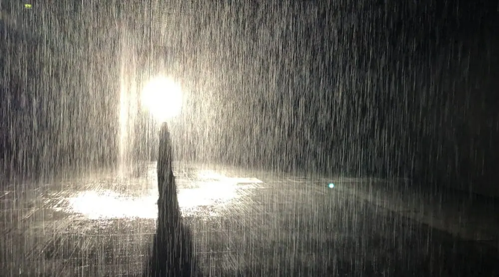 Explore Rain Room Sharjah