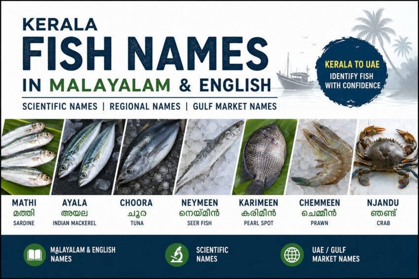 kerala fish names-malayalam english
