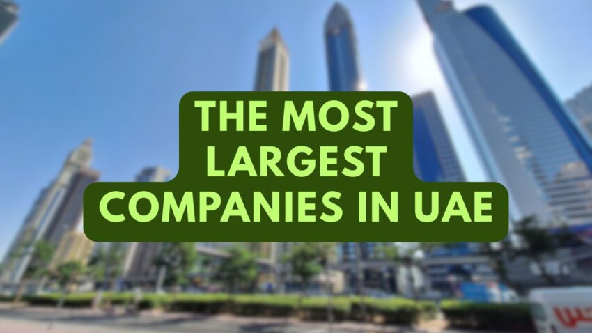The most largest companies in uae