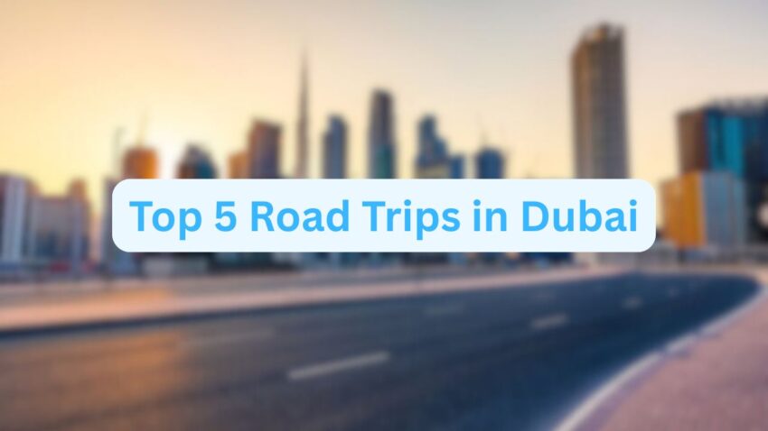 Top 5 Road Trips in Dubai