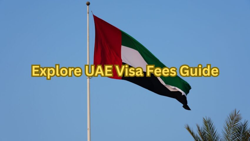Explore UAE Visa Fees Guide